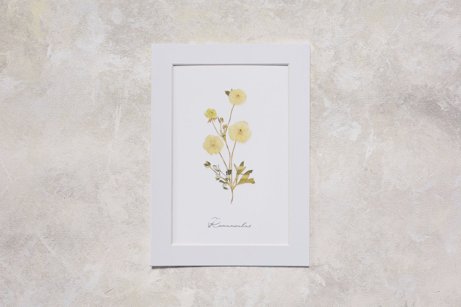 Pressed Flower Art Prints