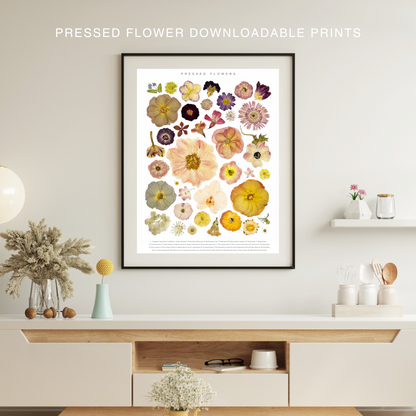 Pressed Flowers Collage | Downloadable Print