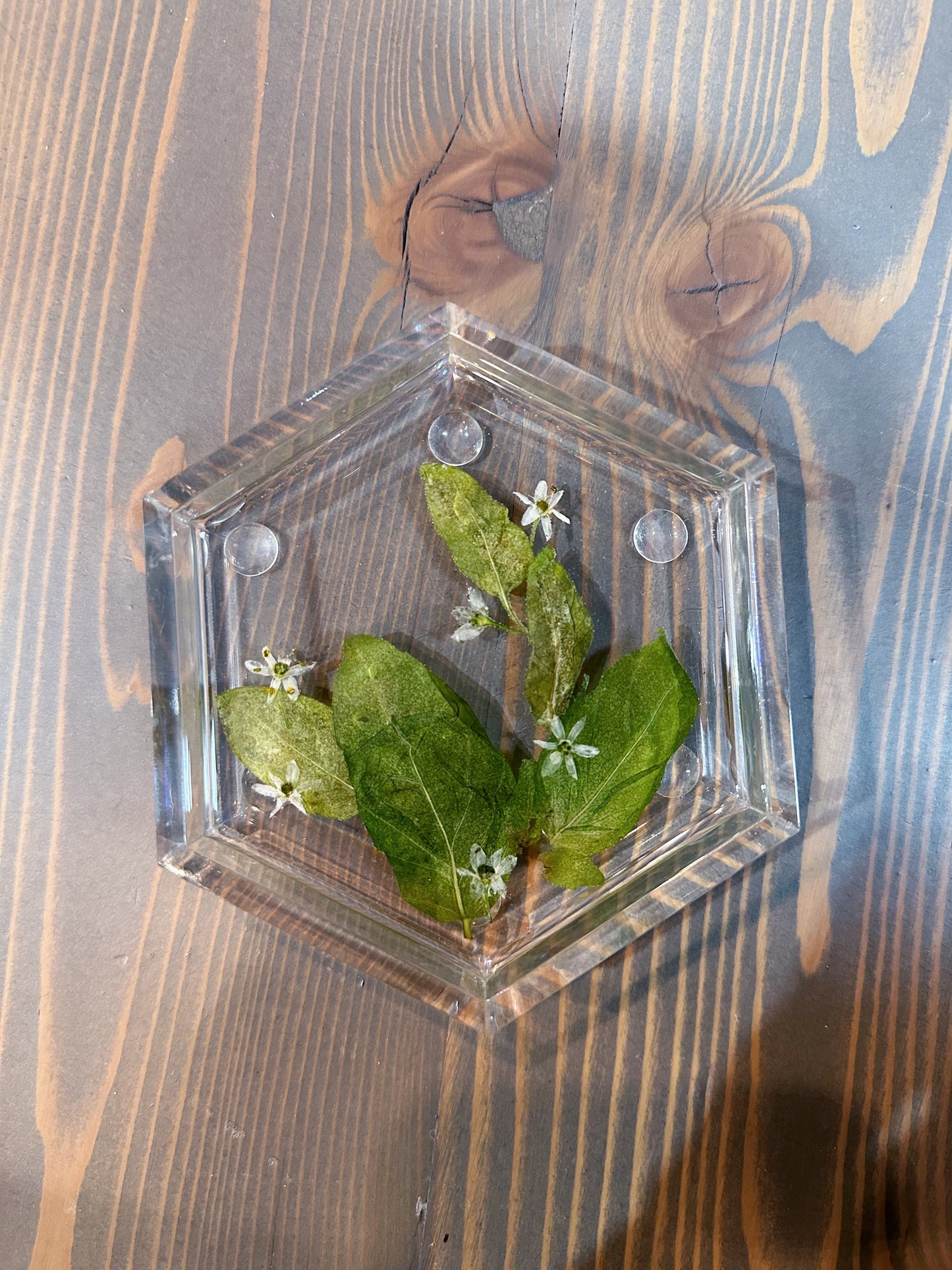 Pressed Flower Hexagon Ring Dishes