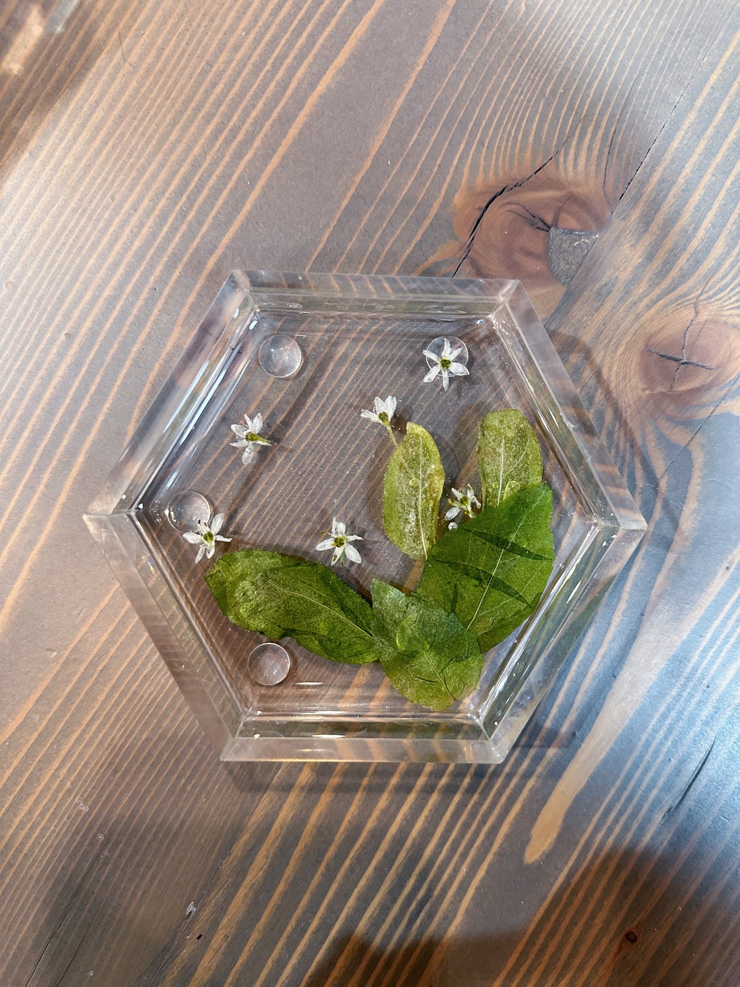 Pressed Flower Hexagon Ring Dishes