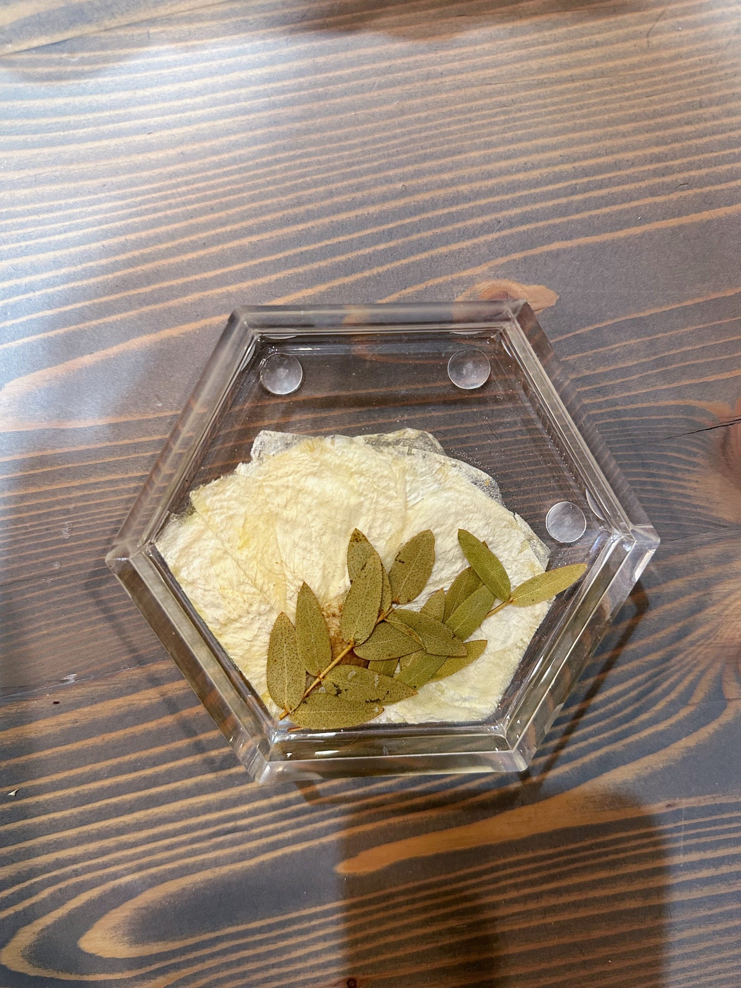 Pressed Flower Hexagon Ring Dishes