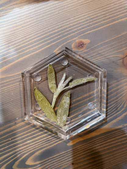 Pressed Flower Hexagon Ring Dishes