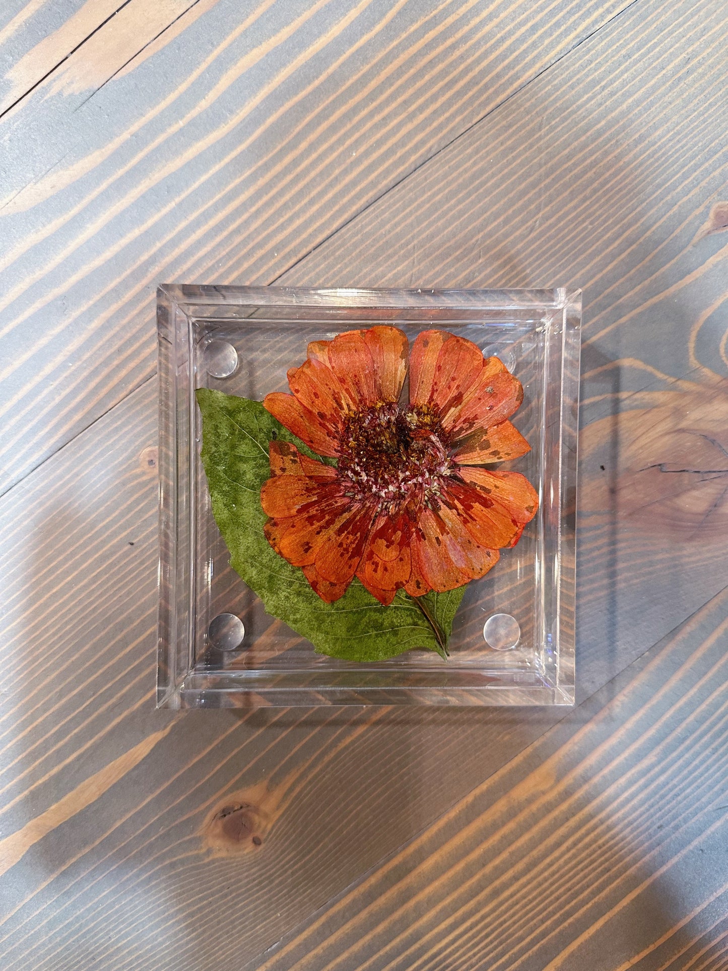 A square resin ring dish with a pressed orange daisy and green leaf is set atop a wooden background. 