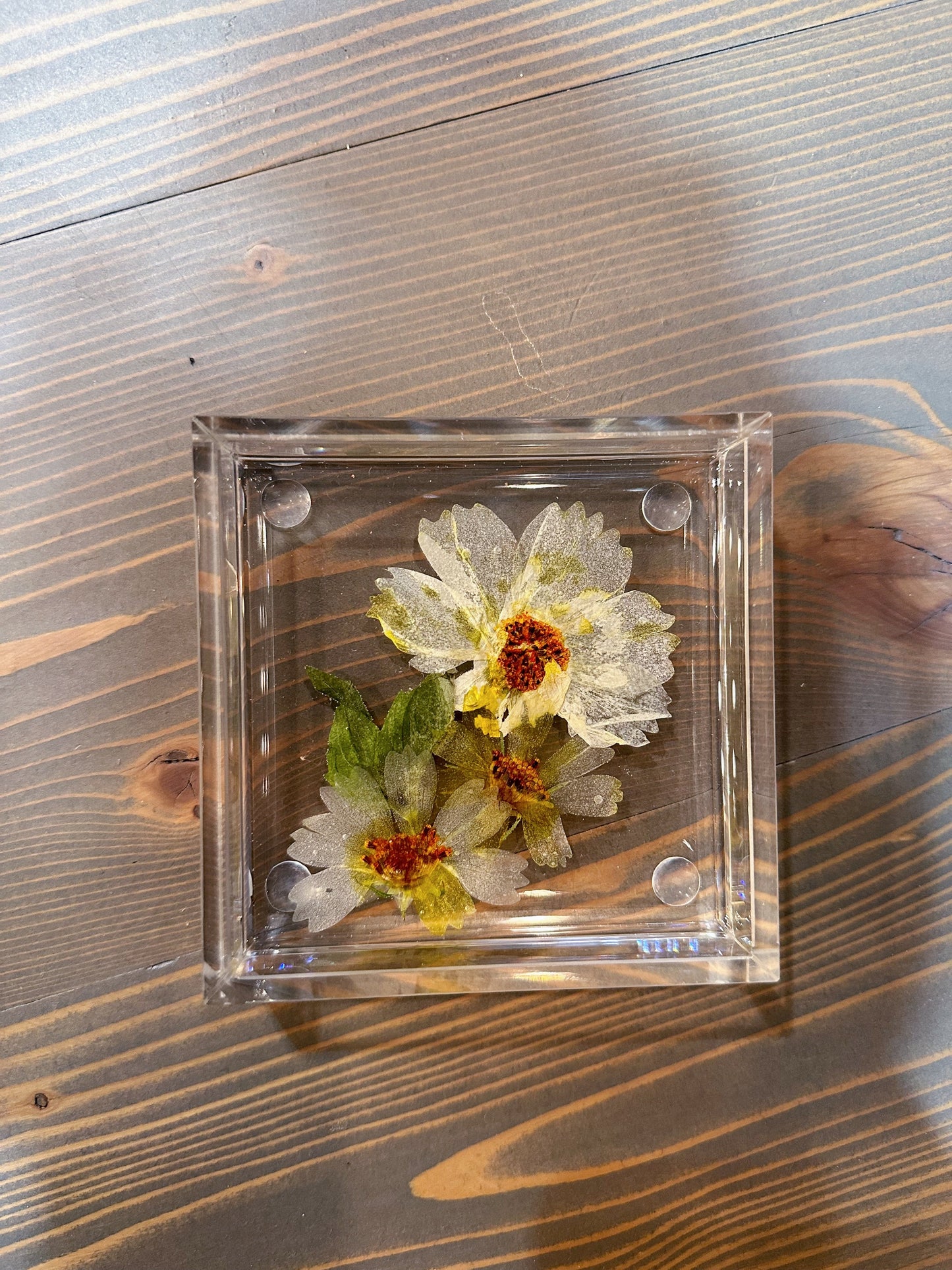 Square Pressed Flower Ring Dishes