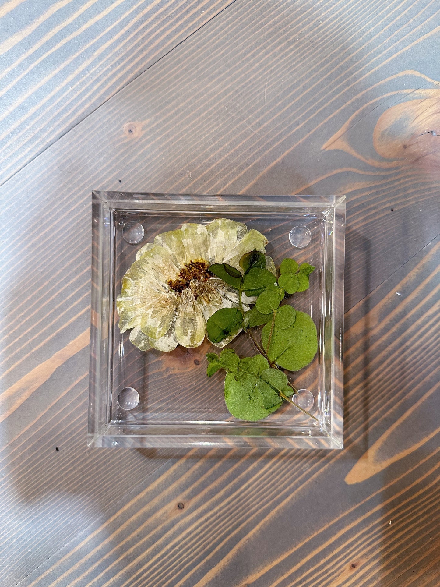 Square Pressed Flower Ring Dishes