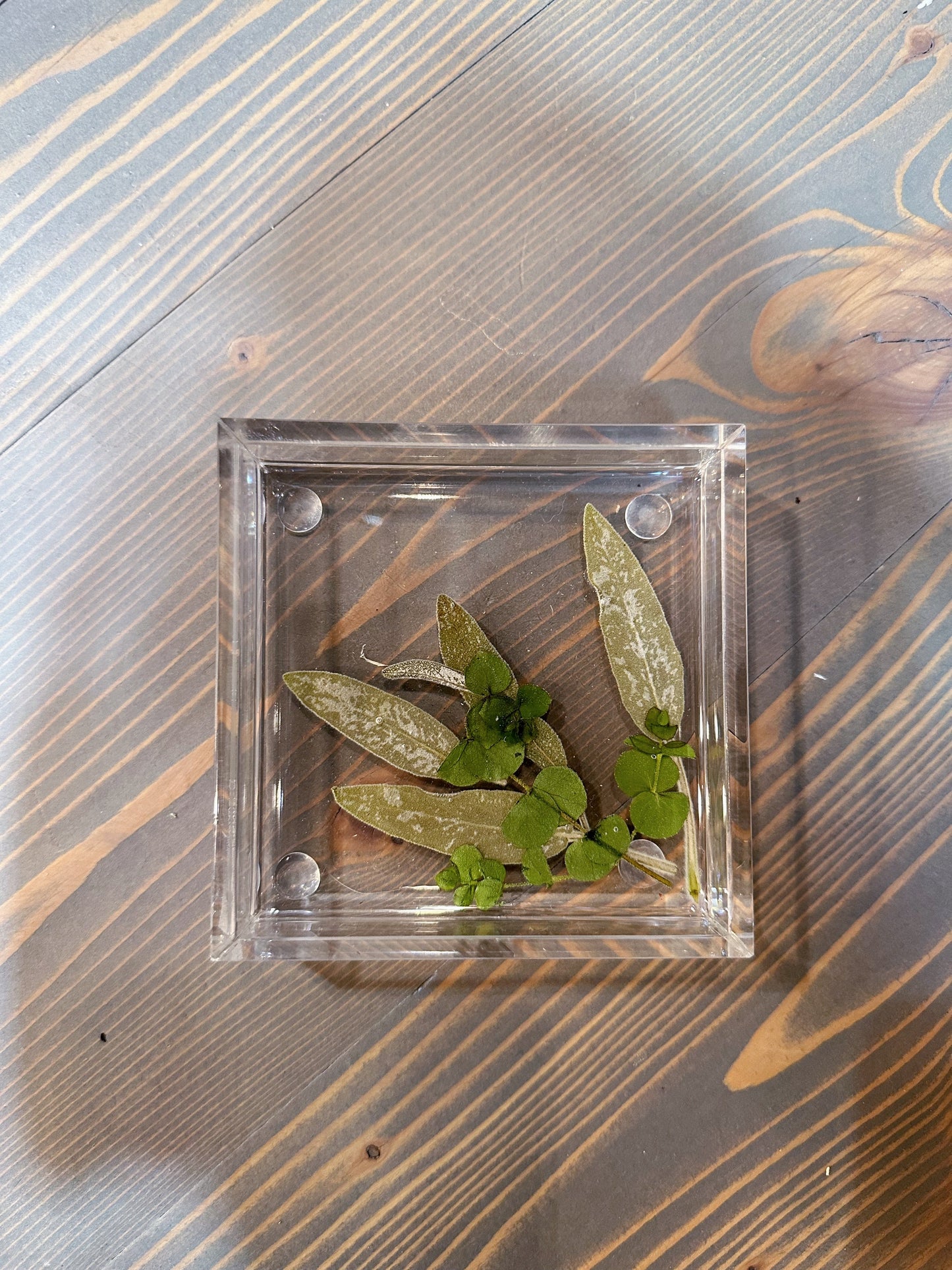 Square Pressed Flower Ring Dishes