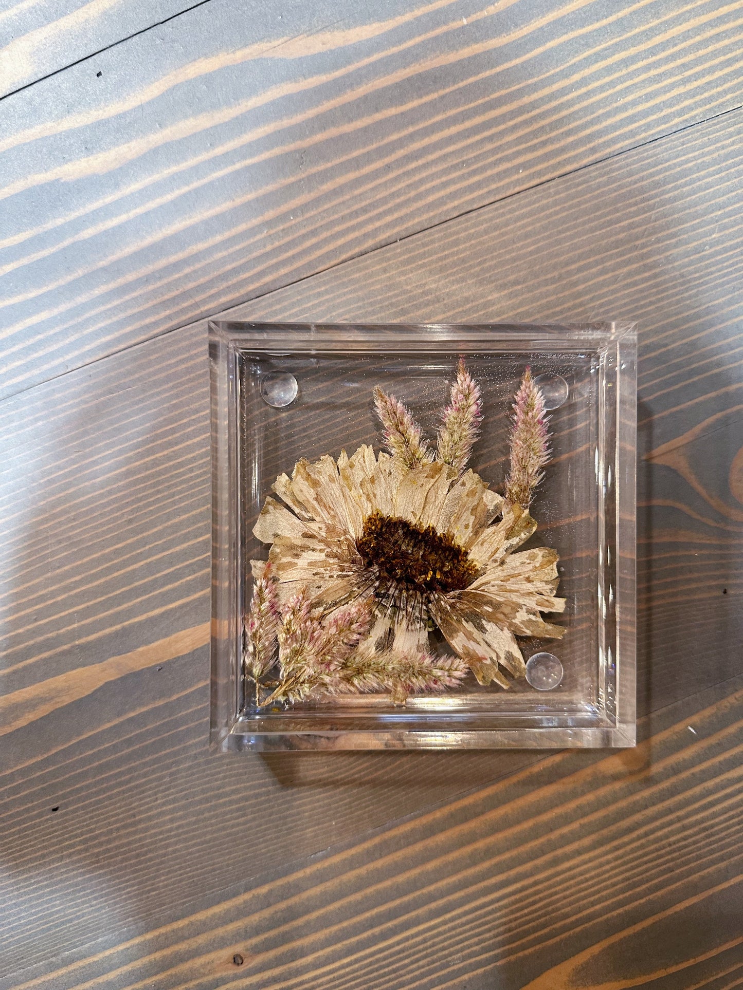 Square Pressed Flower Ring Dishes