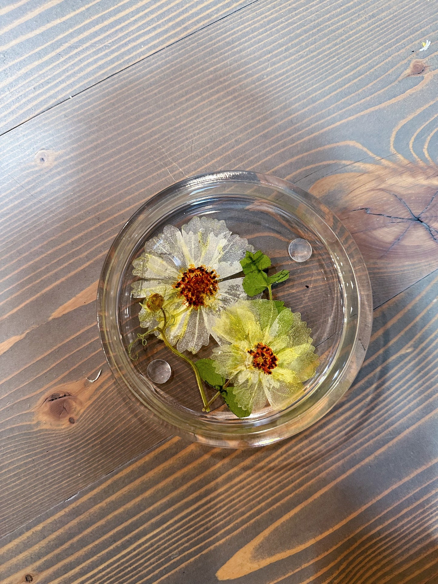 Circle Pressed Flower Ring Dishes