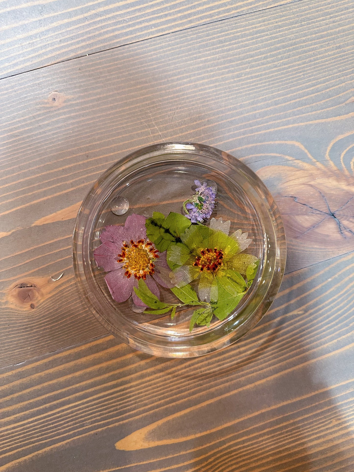 Circle Pressed Flower Ring Dishes