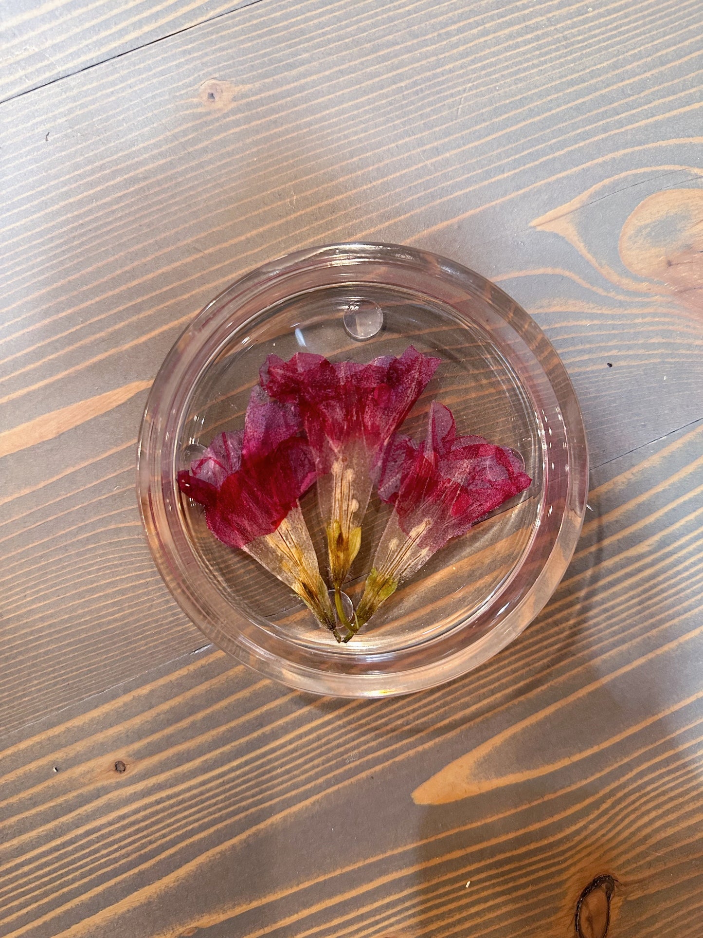 Circle Pressed Flower Ring Dishes